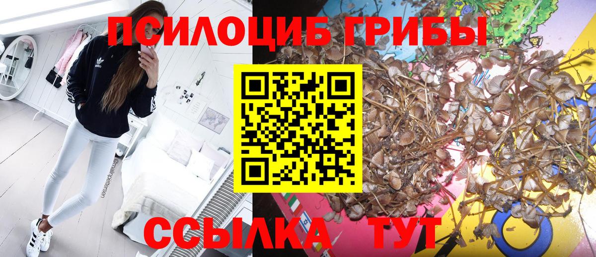 Печора  Галлюциногенные грибы ЛСД  Вход с VPN 