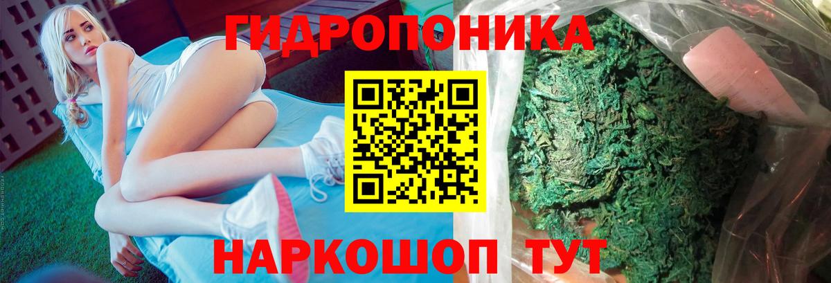 МАРИХУАНА Bruce Banner Печора